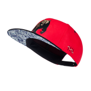 Snapback Cap Raging Bear
