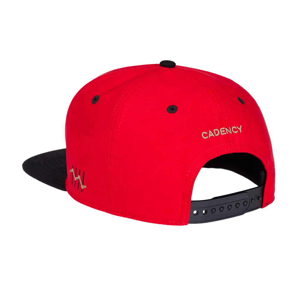 Snapback Cap Raging Bear