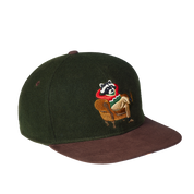 Snapback Cap Cozy Winter